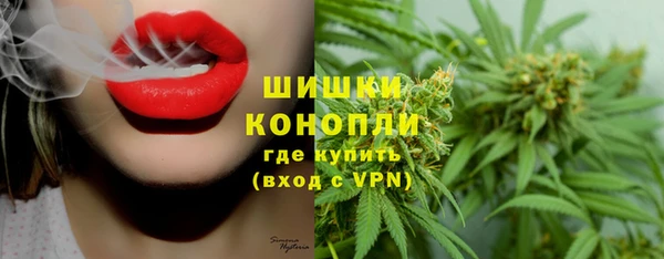 эйфоретик Белокуриха
