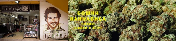 эйфоретик Белокуриха