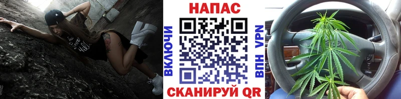 Бошки марихуана сатива  Топки 